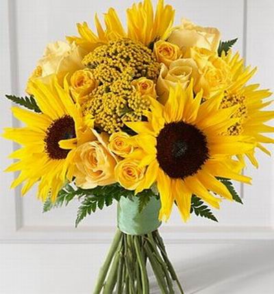Asiaroses Sunflowers for Asia
