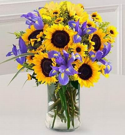 Floristcare Iris for Asia