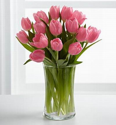 Singaporeroses Birthdays for Singapore
