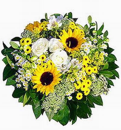 India-flowers Premium flowers for India