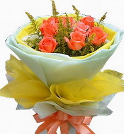 Malaysiaroses Roses for Malaysia