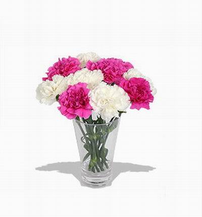 Singaporeflowerstore Carnations for Singapore