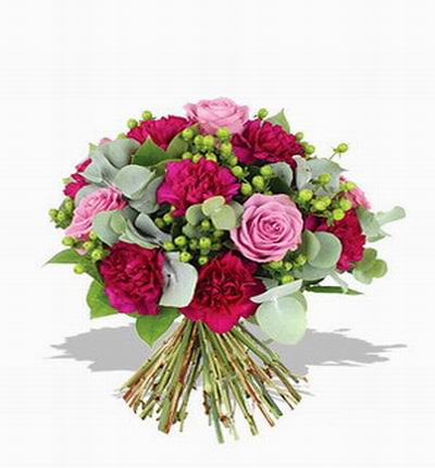 Singaporeflowerstore Carnations for Singapore