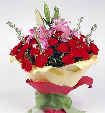 Singaporeflowerstore Carnations for Singapore