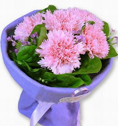 Singaporeflowerstore Carnations for Singapore