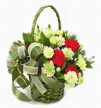 Singaporeflowerstore Carnations for Singapore