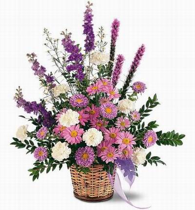 Korearoses Carnations for Korea