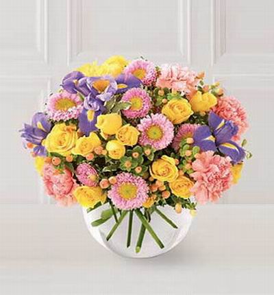 Floristcare Iris for Asia
