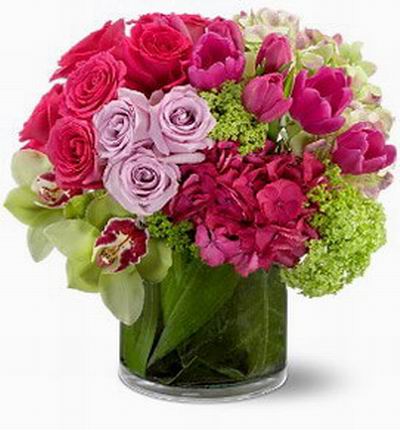 Asiaroses Grand Openings for Asia