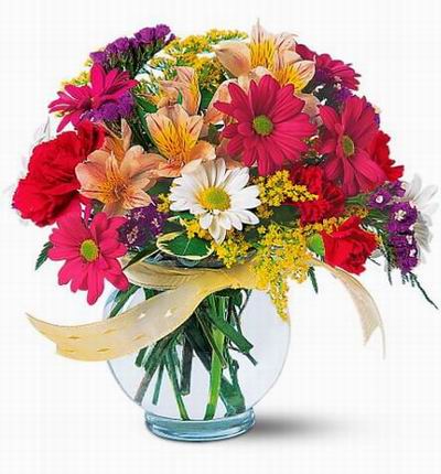 India-flowers Premium flowers for India
