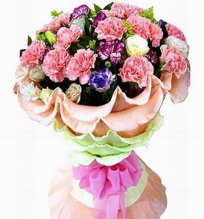 Singaporeflowerstore Carnations for Singapore