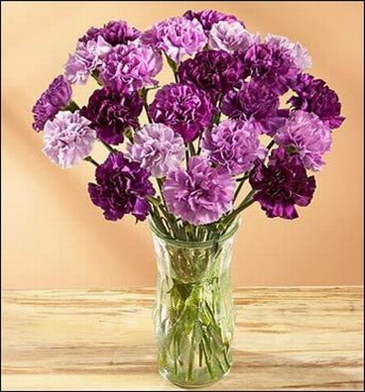 Singaporeflowerstore Carnations for Singapore