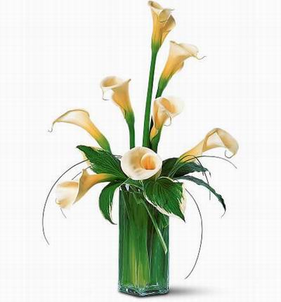 Hongkongroses Mixed bouquets for Hong Kong