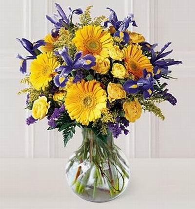 Floristcare Iris for Asia