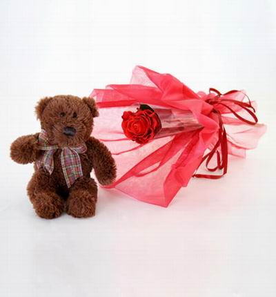 Philippineroses Teddy bears for Philippines