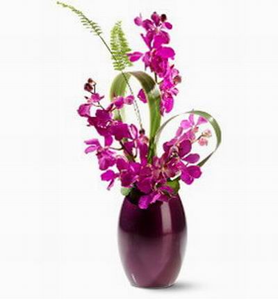 Singaporeroses Orchids for Singapore